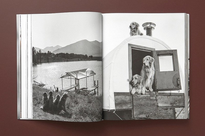 Bruce Weber. The Golden Retriever Photographic Society - фото 7