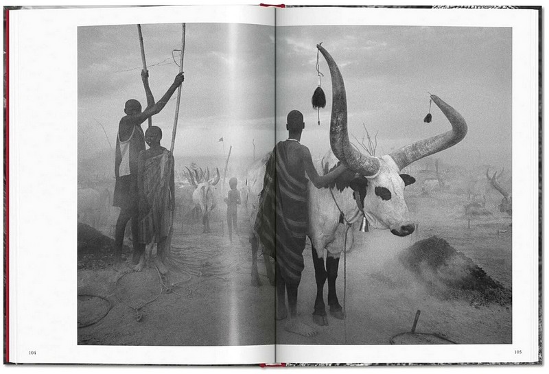 Sebastiao Salgado. Genesis - фото 7