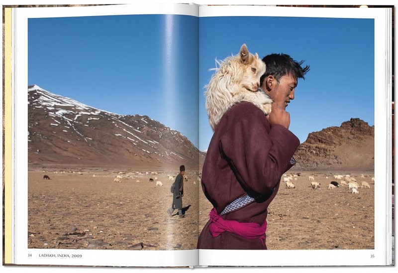 Steve McCurry. Animals - фото 4