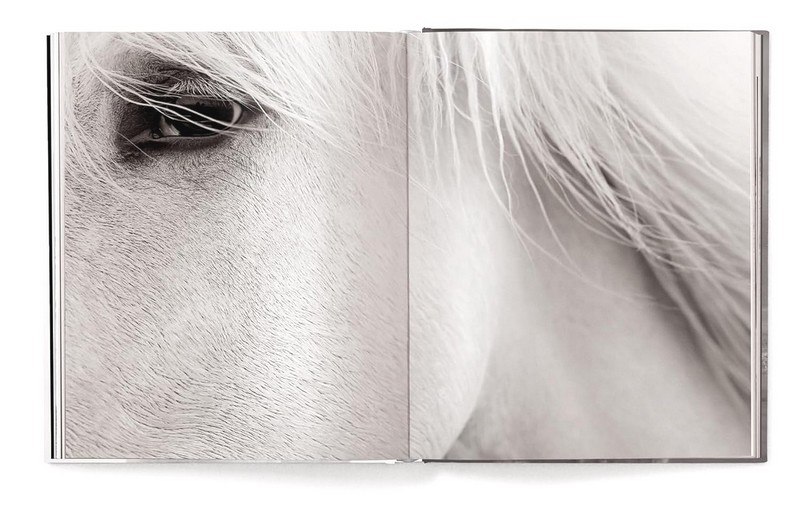 Untamed Spirits. Horses from Around the World - фото 8