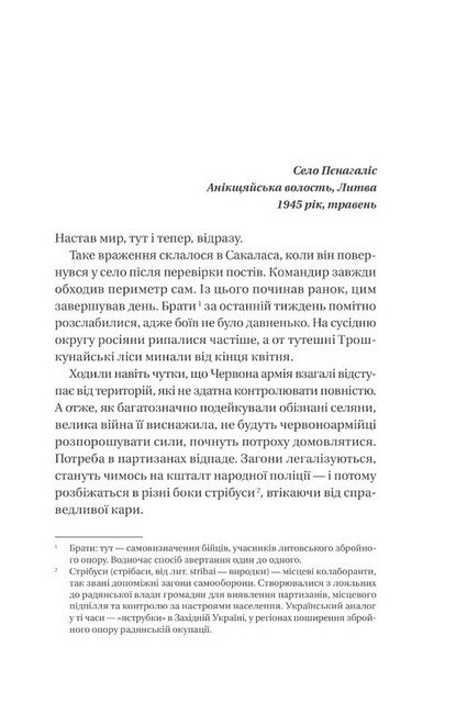 Підпільна держава Авт: Андрій Кокотюха Вид-во: Vivat - фото 4