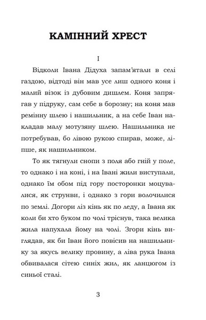 Камінний хрест Авт: Василь Стефаник Вид-во: Кондор - фото 2