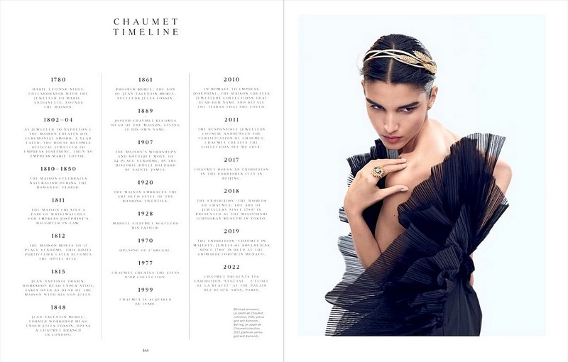 The Spirit of Chaumet - фото 13