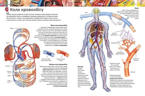 Ілюстрована енциклопедія Більше 1000 цікавих фактів Авт: Елеонора Барзотті Вид-во: Пегас - фото 6
