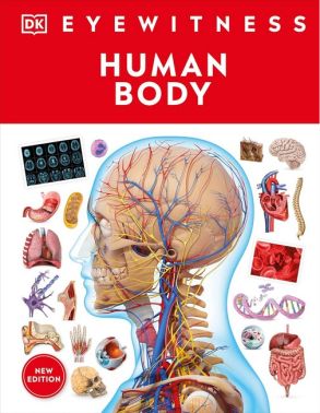 Human Body Авт: Richard Walker Вид-во: DK Human Body Авт: Richard Walker Вид-во: DK - Література Англійською мовою