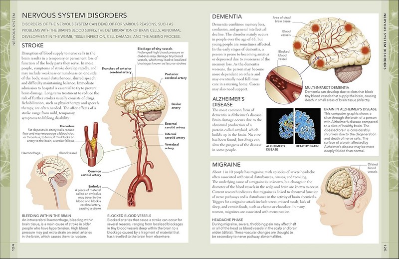 The Concise Human Body Book Вид-во: DK - фото 6
