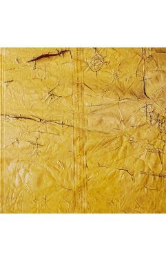 David Hammons Авт: David Hammons Вид-во: Hauser & Wirth Publishers David Hammons Авт: David Hammons Вид-во: Hauser & Wirth Publishers - Мода