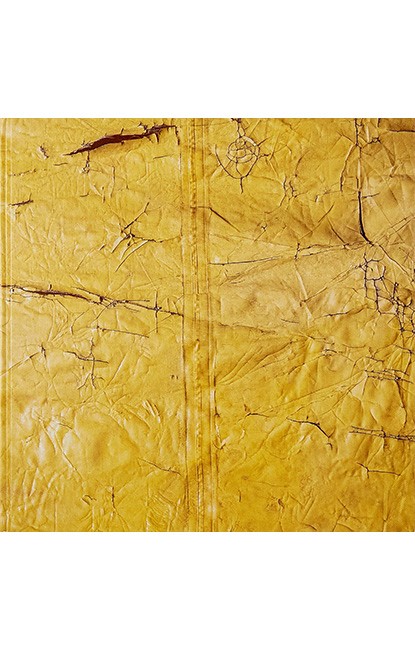 David Hammons Авт: David Hammons Вид-во: Hauser & Wirth Publishers - фото 1