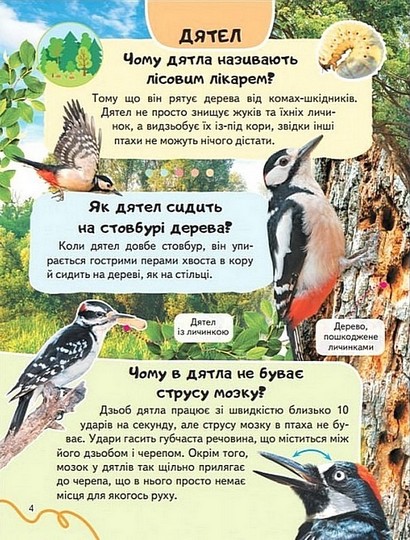 Енциклопедія. Птахи - фото 2