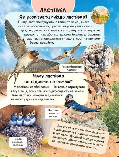 Енциклопедія. Птахи - фото 5