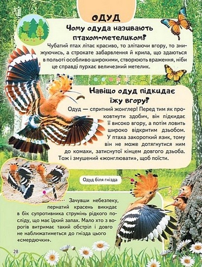 Енциклопедія. Птахи - фото 6