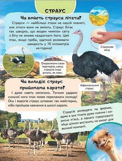 Енциклопедія. Птахи - фото 9