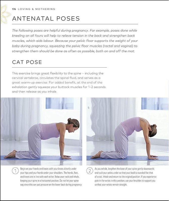 Yoga for Women - фото 12