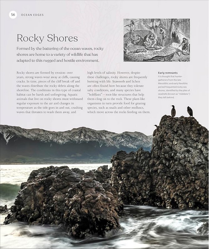 The Ocean Book - фото 2