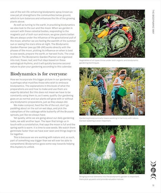 Biodynamic Gardening: Organic Growing Guided by the Moon for Bountiful Harvests - фото 6