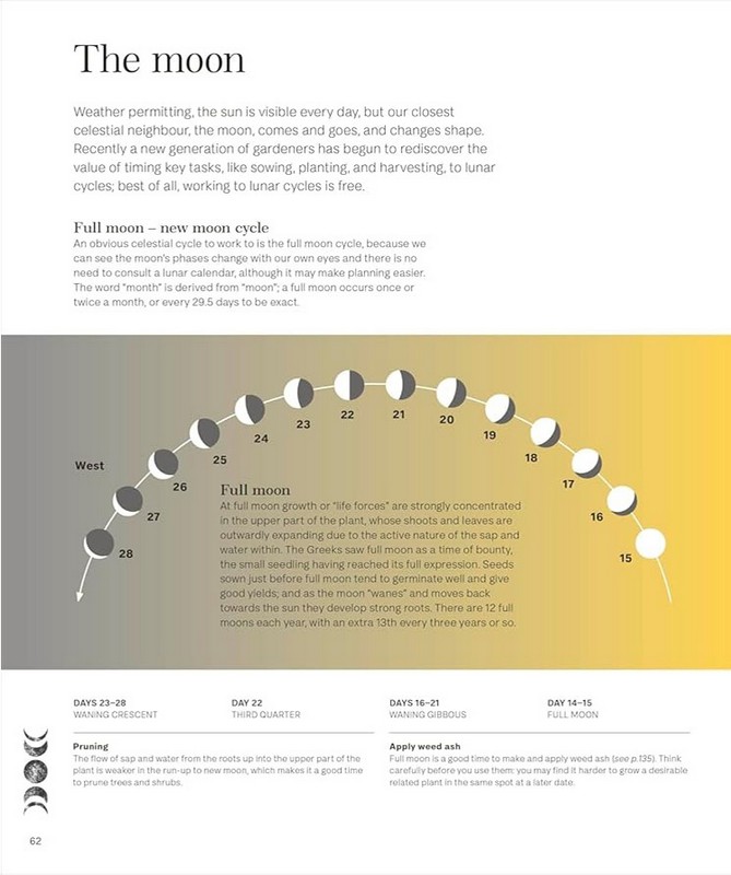 Biodynamic Gardening: Organic Growing Guided by the Moon for Bountiful Harvests - фото 7