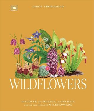 Wildflowers Wildflowers - Сад Огород