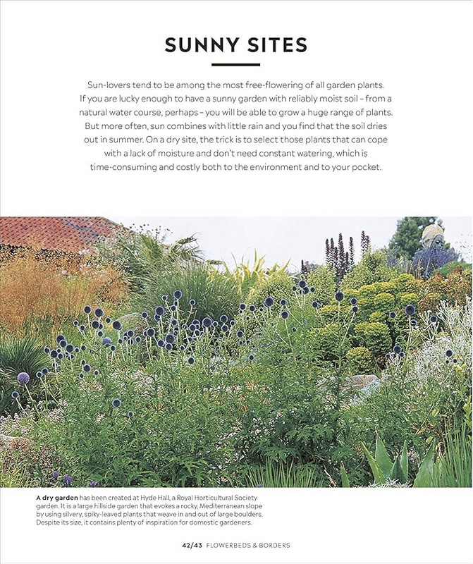 RHS How to Garden - фото 4