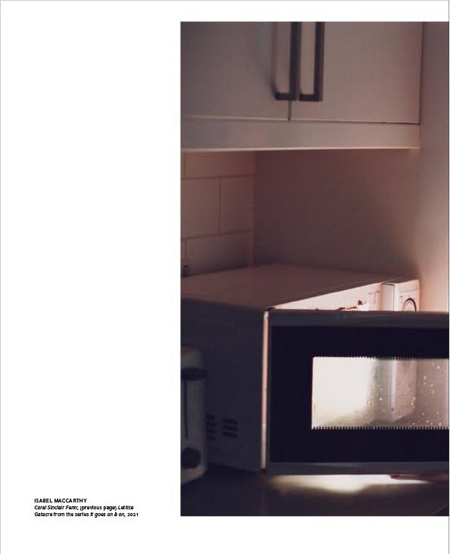 The Domestic Stage - фото 6