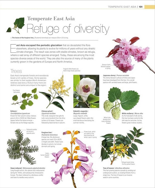 Plants and Fungi. The Definitive Visual Guide Авт: Колектив авторів Вид-во: DK - фото 8