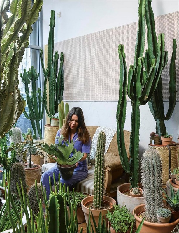 Cacti and Succulents Авт: Sarah Gerrard-Jones Вид-во: DK - фото 3